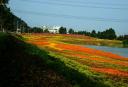 福建漳州郊野公園