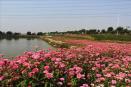 福建漳州郊野公園